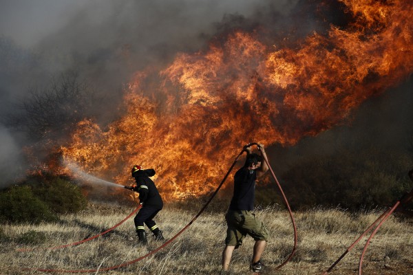 Φωτιά σε δασική έκταση στην Κασσάνδρα Χαλκιδικής