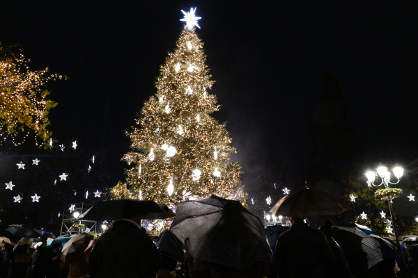 Λάμψη στο κέντρο της Αθήνας: Φωταγωγήθηκε το χριστουγεννιάτικο δέντρο στο Σύνταγμα (εικόνες)
