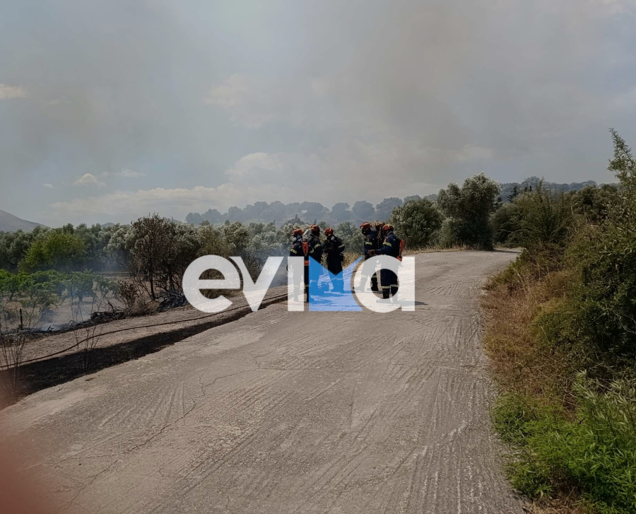 Μαίνεται η μεγάλη φωτιά στο Αλιβέρι: Ενισχύθηκαν οι δυνάμεις – Εκκενώθηκε οικισμός