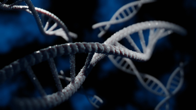 Η επανεκκίνηση του «διαβάσματος» του ανθρώπινου DNA αντικατοπτρίζει καλύτερα τον παγκόσμιο πληθυσμό