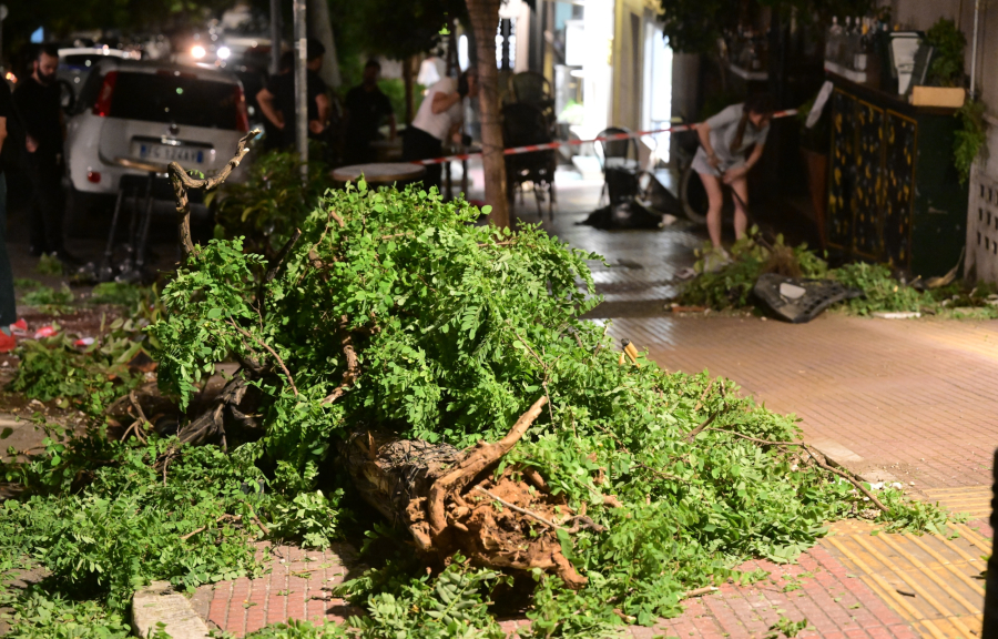 Τροχαίο στο Κολωνάκι: Πώς ένα δέντρο έσωσε τους τραυματίες