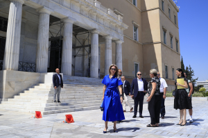Επιτροπή Δεοντολογίας: «Όχι» σε άρση ασυλίας των 14 «γαλάζιων» για τη μήνυση Καρυστιανού