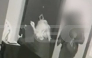 Κυψέλη: Βίντεο ντοκουμέντο από την εισβολή του 64χρονου στο σπίτι της 25χρονης ΑμεΑ