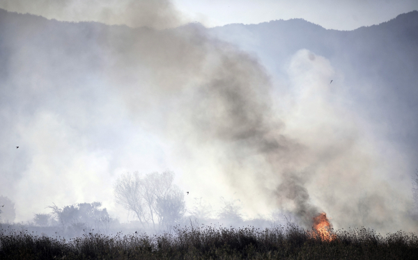 Νέα φωτιά τώρα στα Τρίκαλα