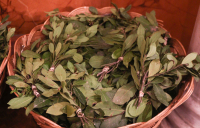 Πάσχα: Τι συμβολίζει η Κυριακή των Βαΐων – Ήθη, έθιμα και παραδόσεις στην Ελλάδα