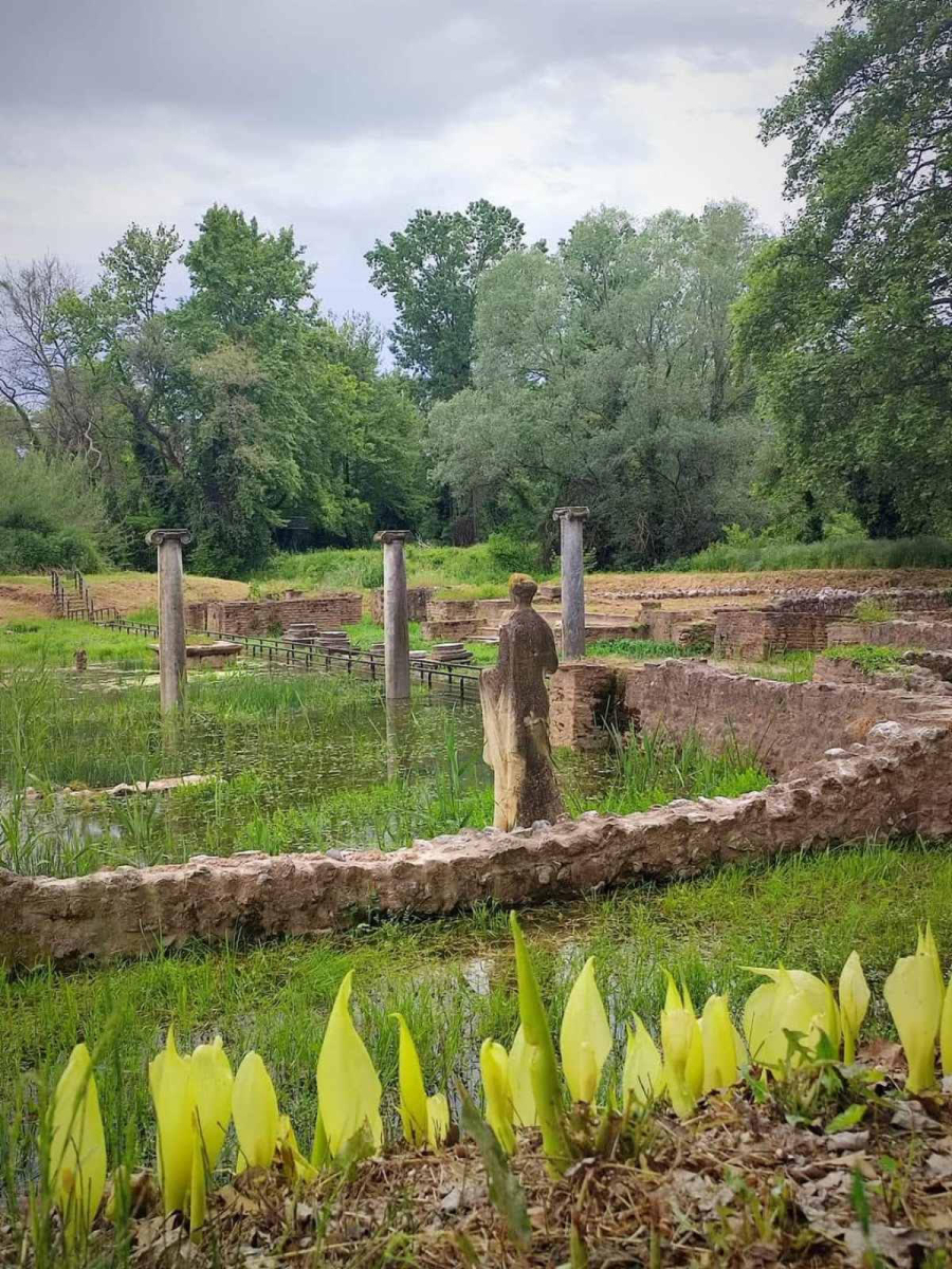 Πανσέληνος μετά μουσικής στο Αρχαιολογικό Πάρκο Δίου