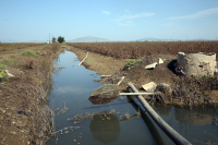 Πιερία: Άμεσα ξεκινούν οι εκτιμήσεις του ΕΛΓΑ για την αποκατάσταση των ζημιών από την πρόσφατη κακοκαιρία