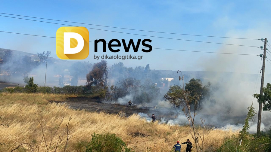 Φωτιά στην Αττική: Νέο πύρινο μέτωπο στα ορεινά της Πάρνηθας, μάχη με αναζωπύρωση κοντά στα διόδια Αφιδνών (βίντεο)