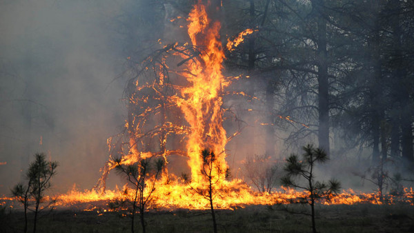 PHOTO: themoscowtimes.