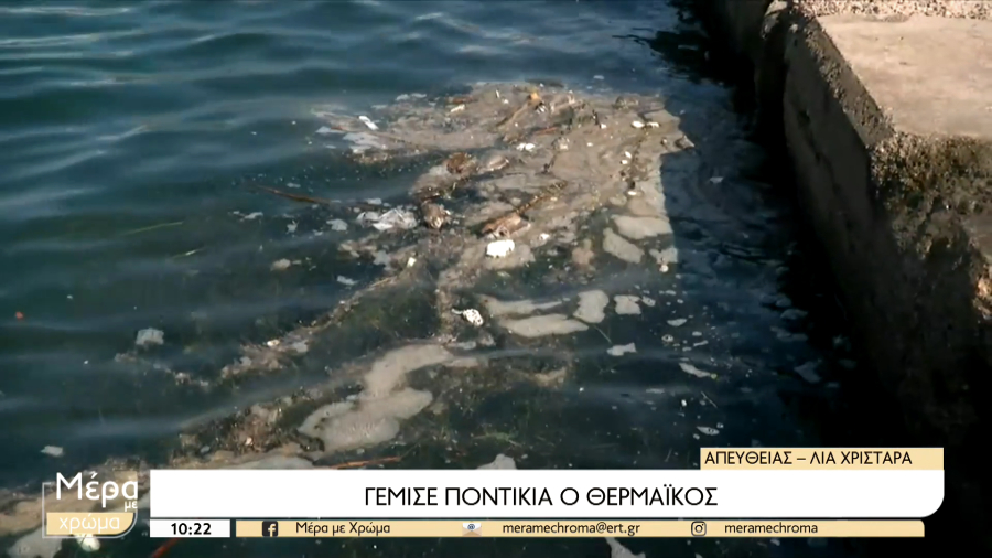 Ποντίκια επιπλέουν ξανά στον Θερμαϊκό και προκαλούν αηδία (βίντεο)