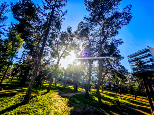 «Σπάει» στα δύο η χώρα: Χειμώνας και άνοιξη μαζί, μεγάλο θερμοκρασιακό εύρος - Η πρόγνωση Μαρουσάκη