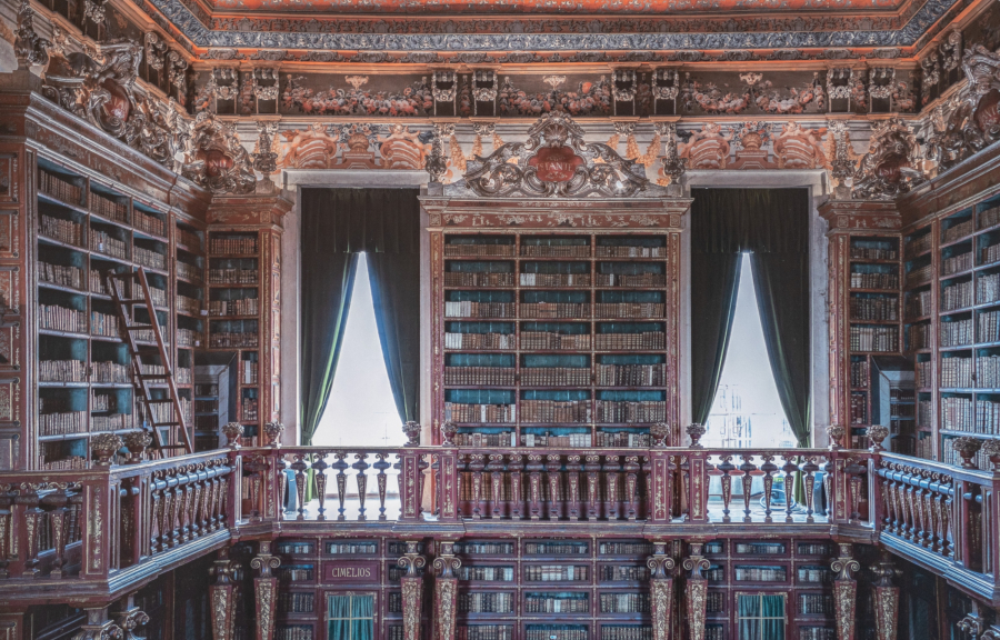 Σε αυτή την όμορφη βιβλιοθήκη, βιβλιοθηκάριοι είναι οι... νυχτερίδες