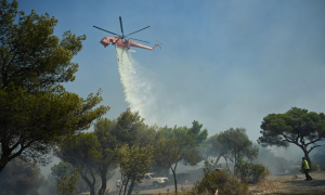Φωτιά τώρα στο Καλλίθηρο Καρδίτσας, ρίψεις από 5 εναέρια