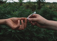 Είναι το κρατόμ το νέο ναρκωτικό που θα μας απασχολήσει;