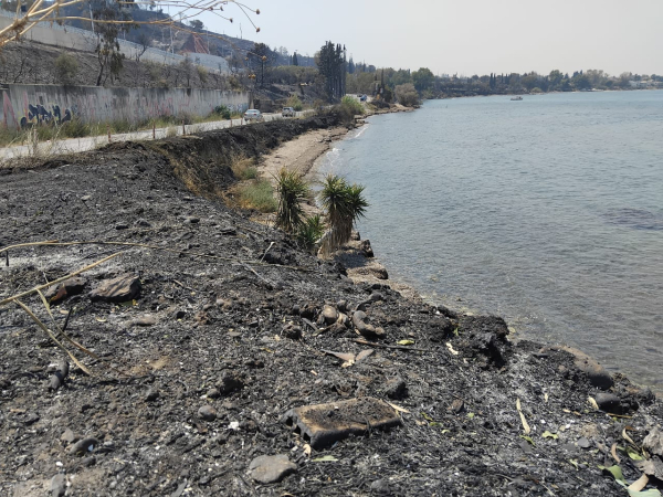 Το σαρωτικό πέρασμα της φωτιάς στην Πάτρα - Οι φλόγες έφθασαν στη θάλασσα - Νέες εικόνες