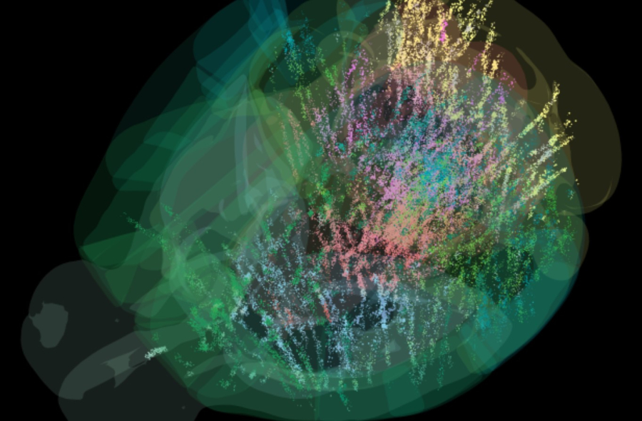 International Brain Laboratory