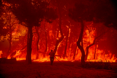 Εξαιρετικά δύσκολη η φωτιά στο δάσος Δαδιάς -Eργασίες για αντιπυρικές ζώνες και δασικούς δρόμους (εικόνες, βίντεο)