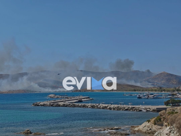 Φωτιά τώρα στην Κάρυστο: Δύσκολη η κατάσταση με 3 μέτωπα, νέο 112 για εκκένωση οικισμών (εικόνες)