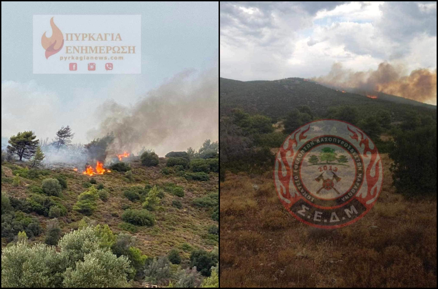 Φωτιές σε Βαρνάβα - Γραμματικό: Επιχειρούν και εναέρια μέσα