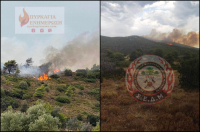 Φωτιές σε Βαρνάβα - Γραμματικό: Επιχειρούν και εναέρια μέσα