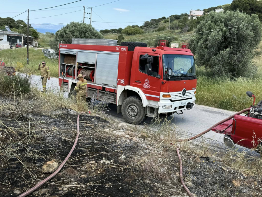 Φωτιά τώρα στην Αρτέμιδα (εικόνες)