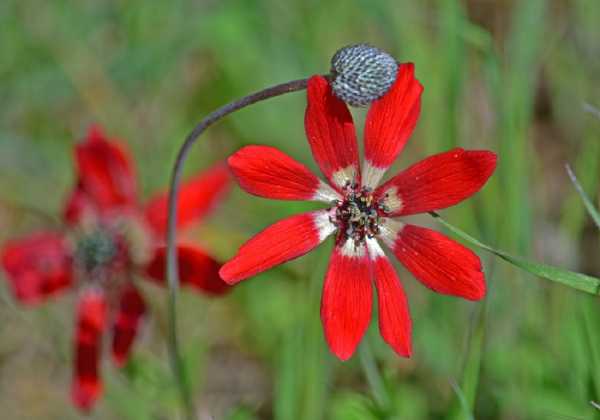 Ανοιξιάτικος καιρός και σήμερα με άνοδο της θερμοκρασίας