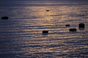 Νέα τραγωδία στο Αιγαίο από το ναυάγιο με 16 νεκρούς - Συνεχίζονται οι έρευνες