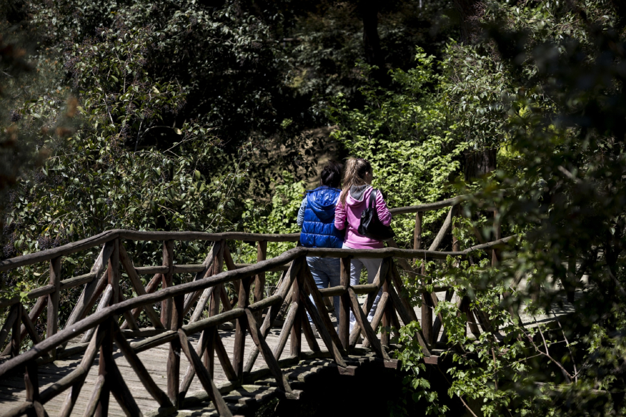Θεσσαλονίκη: Κρούσμα βρουκέλλωσης στον Ζωολογικό Κήπο - Κλείνει μέχρι νεωτέρας
