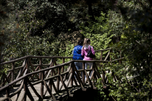 Θεσσαλονίκη: Κρούσμα βρουκέλλωσης στον Ζωολογικό Κήπο - Κλείνει μέχρι νεωτέρας