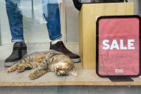 Χειμερινές εκπτώσεις: Μειωμένες πωλήσεις για μία στις δύο εμπορικές επιχειρήσεις