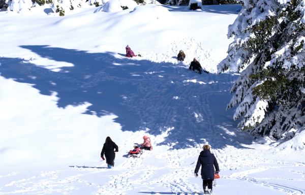 Γεμάτα τα χιονοδρομικά κέντρα της χώρας: Ποια λειτουργούν, πόσοι πηγαίνουν για σκι