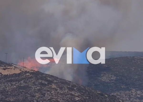 Φωτιά στην Κολυμπάδα Σκύρου