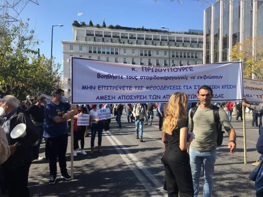 Συγκέντρωση διαμαρτυρίας στη Βουλή από σταφιδοπαραγωγούς της Πελοποννήσου