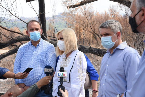 Φώφη Γεννηματά από τη Γορτυνία: «Οι ευθύνες είναι μεγάλες, δεν υπάρχουν δικαιολογίες»