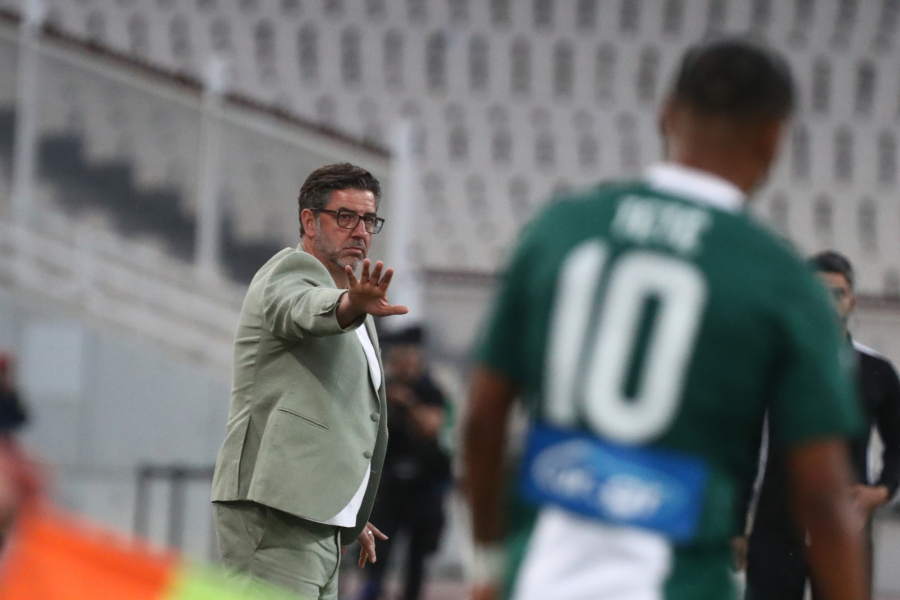 ΣΩΤΗΡΗΣ ΔΗΜΗΤΡΟΠΟΥΛΟΣ / EUROKINISSI