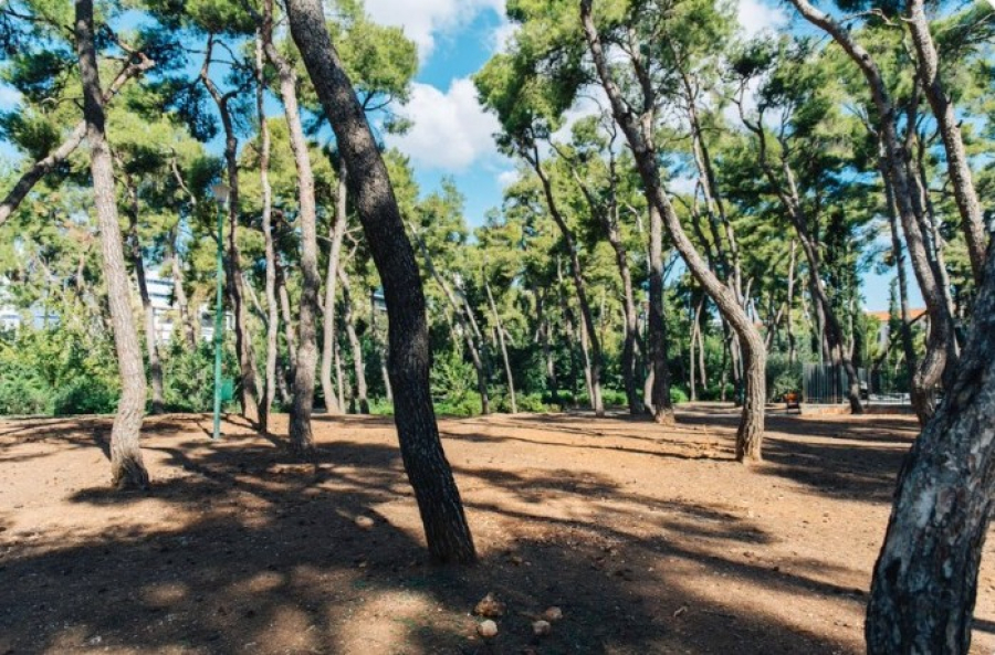 Κλείνει το Άλσος Χωροφυλακής με απόφαση του Δήμου Αθηναίων