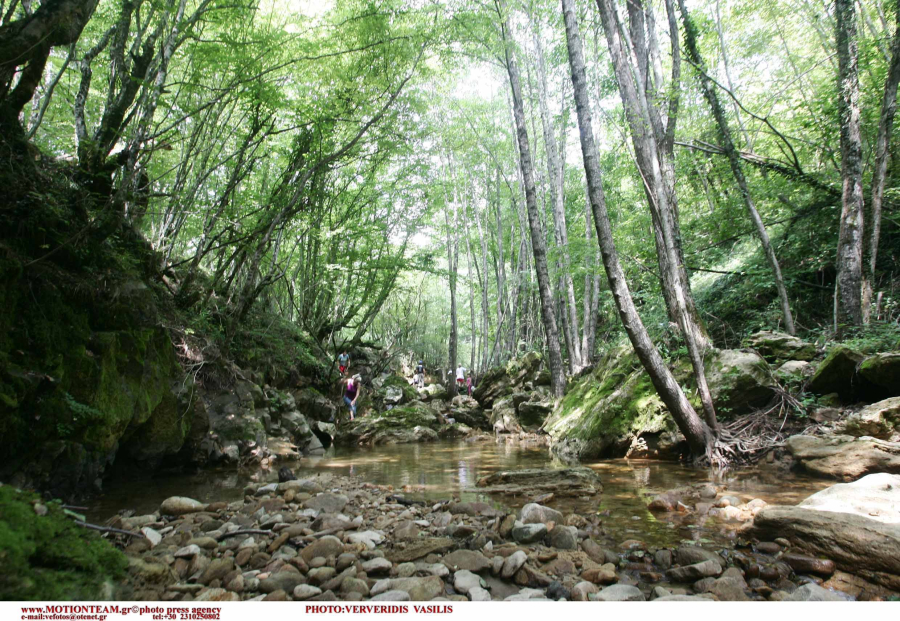 Δράμα: Κανένα ίχνος από αρκούδα στη σορό του νεκρού ορειβάτη