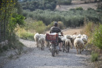 photo: eurokinisi
