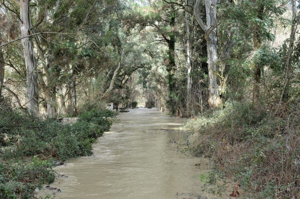 Φάμελλος προς δημάρχους για το θέμα των οικιστικών ορίων στους δασικούς χάρτες