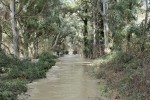 Φάμελλος προς δημάρχους για το θέμα των οικιστικών ορίων στους δασικούς χάρτες