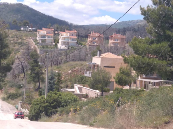 «Παλάτια στα κάρβουνα»: Δεκάδες βίλες... «φύτρωσαν» στα αποκαΐδια της Βαρυμπόμπης -Φωτορεπορτάζ του Dnews