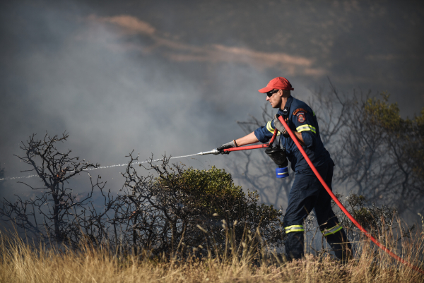 Εύβοια: Υπό έλεγχο η φωτιά στο Στόμιο Πετριών