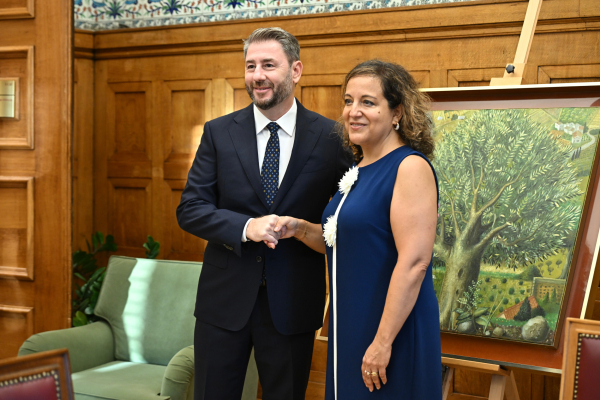 Συνάντηση Ανδρουλάκη με την επικεφαλής της ευρωομάδας των Σοσιαλιστών και Δημοκρατών