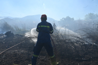 Χωρίς ενεργό μέτωπο η φωτιά στην Εύβοια - 41 πυρκαγιές το τελευταίο 24ωρο