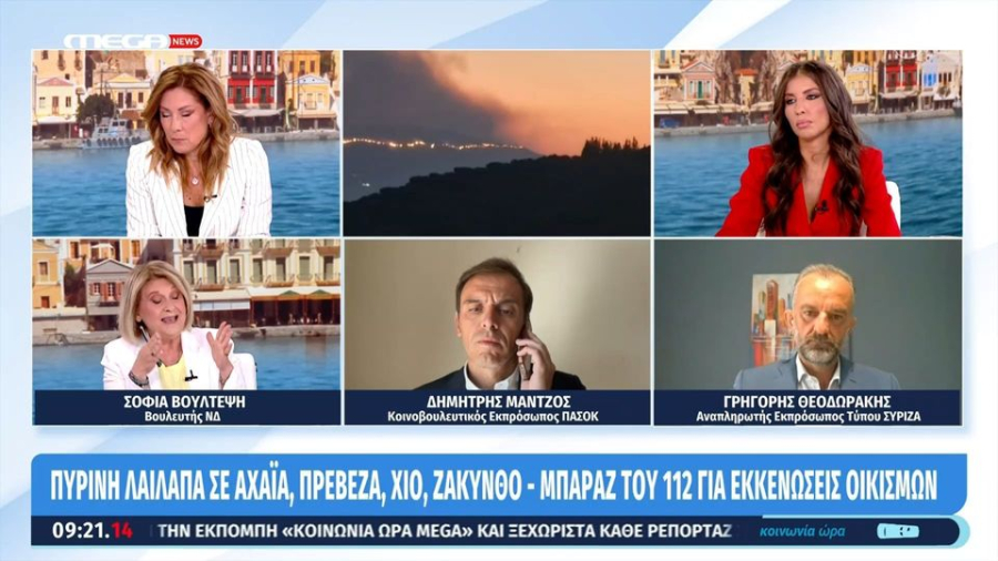 Προκλητική δήλωση Βούλτεψη εν μέσω πύρινης λαίλαπας: «Το πρόβλημα της Ελλάδας είναι οι εθελοντές»