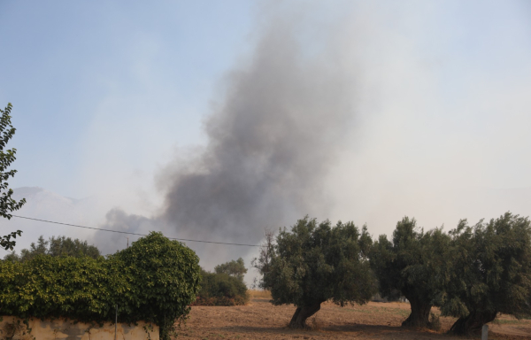 Πύρινη κόλαση στη Δυτική Αττική: Καίγονται τα πρώτα σπίτια στο Κρύο Πηγάδι - Μπαράζ μηνυμάτων από το 112 - Όλες οι εξελίξεις