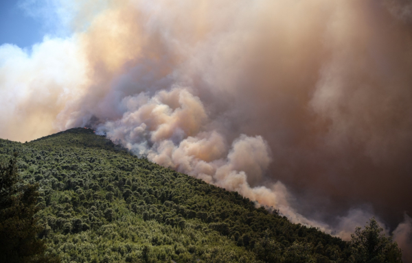 Πύρινη κόλαση στη Δυτική Αττική: Καίγονται τα πρώτα σπίτια στο Κρύο Πηγάδι - Μπαράζ μηνυμάτων από το 112 - Όλες οι εξελίξεις