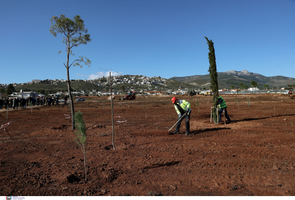 Ο Δήμος Αγίου Δημητρίου απέκτησε κι άλλο «πάρκο τσέπης»
