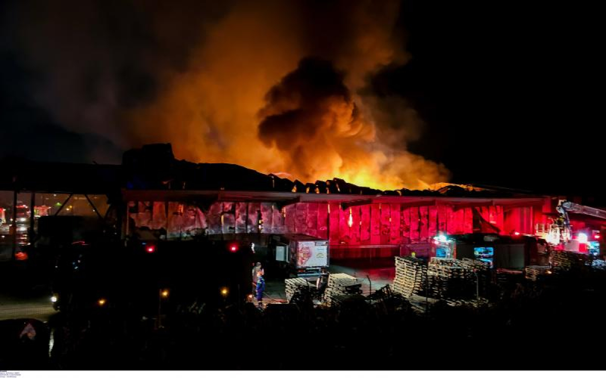 Πρόεδρος ΕΦΕΤ: Η πυρκαγιά στο εργοστάσιο στη Λαμία μπήκε πριν γίνει έλεγχος για τα αλλοιωμένα σχολικά γεύματα