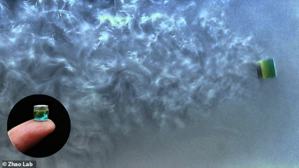 (Image credit: Zhao Lab)